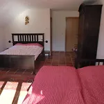 Au Coeur De Panzió