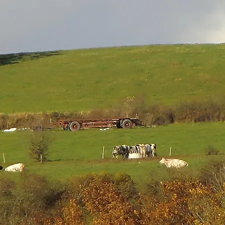 Au Coeur De Villers-Sainte-Gertrude