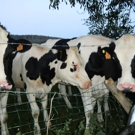 ベッド・アンド・ブレックファスト B ＆ B オー クール ド ヴィレー 3*