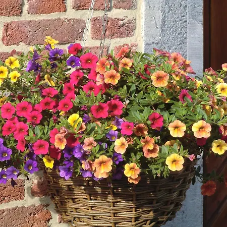 B ＆ B オー クール ド ヴィレー ベッド・アンド・ブレックファスト