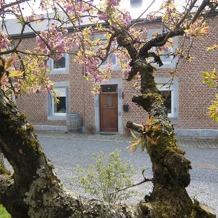 B ＆ B オー クール ド ヴィレー 3* Villers-Sainte-Gertrude