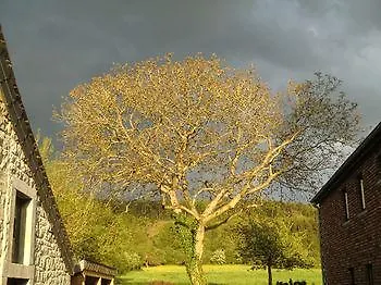 ベッド・アンド・ブレックファスト B ＆ B オー クール ド ヴィレー