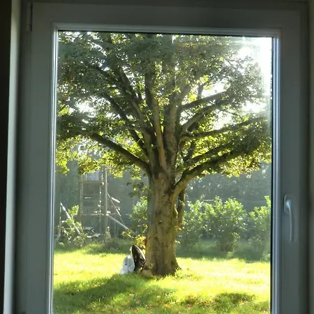 B ＆ B オー クール ド ヴィレー