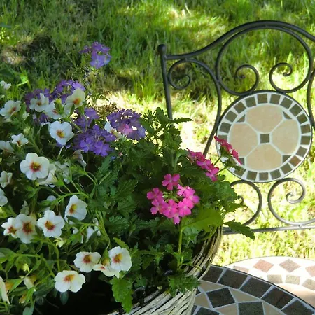 Au Coeur De Bed & Breakfast Villers-Sainte-Gertrude