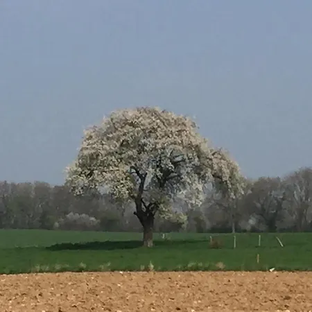 Au Coeur De Frühstückspension 3*