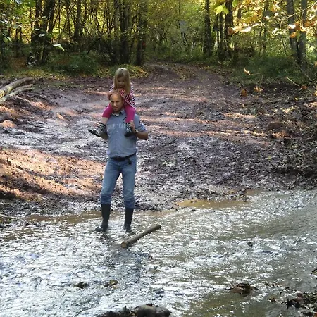 B ＆ B オー クール ド ヴィレー ベッド・アンド・ブレックファスト Villers-Sainte-Gertrude