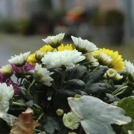 B ＆ B オー クール ド ヴィレー ベッド・アンド・ブレックファスト 3*